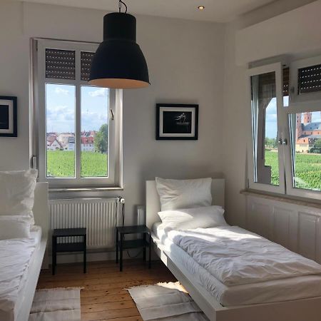 Luxe Apartment Am Rhein Worms Exteriör bild